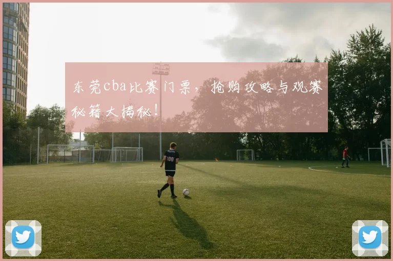 东莞cba比赛门票，抢购攻略与观赛秘籍大揭秘！