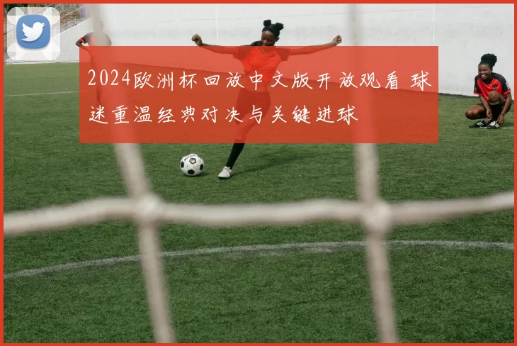 2024欧洲杯回放中文版开放观看 球迷重温经典对决与关键进球