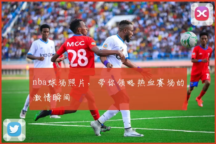 nba球场照片，带你领略热血赛场的激情瞬间