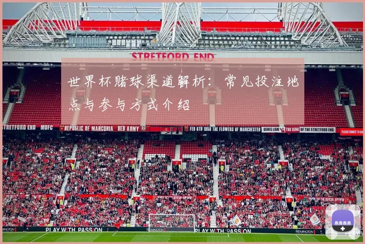 世界杯赌球渠道解析：常见投注地点与参与方式介绍