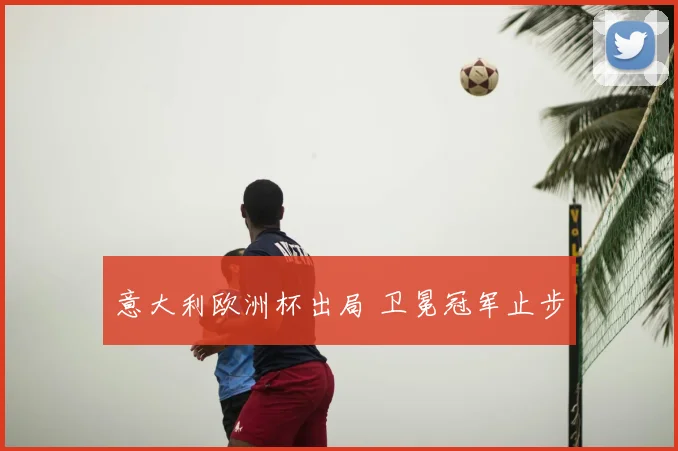 意大利欧洲杯出局 卫冕冠军止步