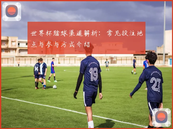 世界杯赌球渠道解析：常见投注地点与参与方式介绍